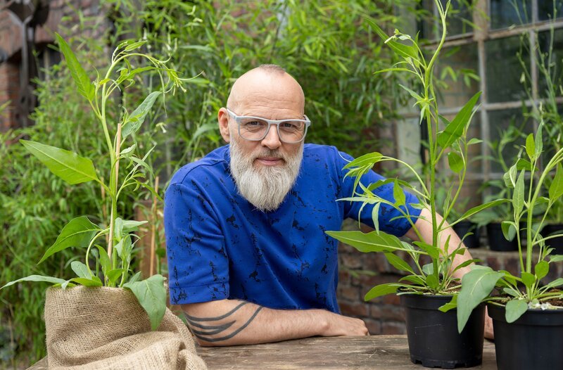 Für uns Menschen ist Nikotin ganz schön schädlich. Für den Wilden Tabak ist der Stoff aber eine echte Rettung, denn mit ihm wehrt er sich gegen Raupen, die sonst alle Blätter fressen würden. Bei einem besonderen Falter braucht die Pflanze Unterstützung, weil seine Raupen immun gegen Nikotin sind: Die Pflanze lockt Wanzen an, die diese Raupen zum Fressen gerne haben. Was passiert, wenn keine Wanze in der Nähe ist, weiß Thomas D in „Wissen vor acht – Natur“. – Bild: ARD/​Bavaria Entertainment/​Melanie Grande