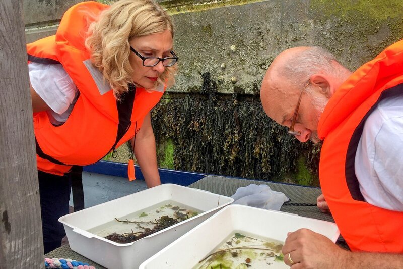Claire Hector und Ian Boyd vom Artecology-Projekt untersuchen den Bestand an Meerestieren. – Bild: ORF/​ZDF Enterprises