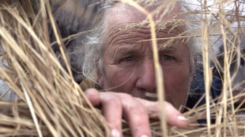Stan Zuray is peering out of the geese blind checking the skies for geese. – Bild: Discovery Channel /​ Discovery Communications