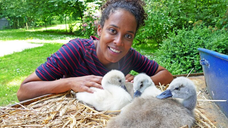 Pia ist ganz vernarrt in die drei flauschigen Schwanenküken. – Bild: BR/​TEXT + BILD Medienproduktion GmbH & Co. KG/​Kathrin Gutzeit