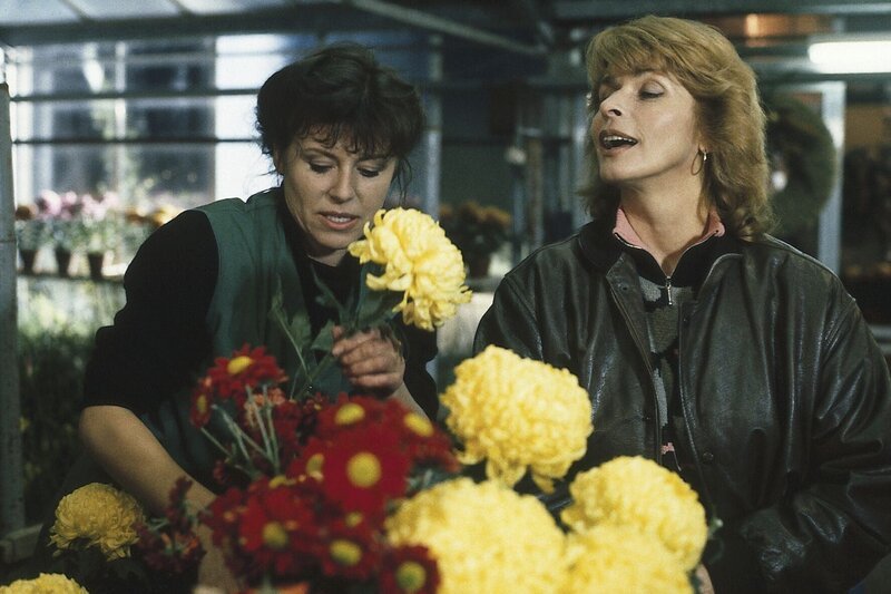 Zu Allerheiligen winkt ein Zusatzverdienst. Gerdi (Senta Berger, re.) kann in der Gärtnerei ihrer Freundin Monika (Gundi Ellert) aushelfen. – Bild: ZDF und Steve Power