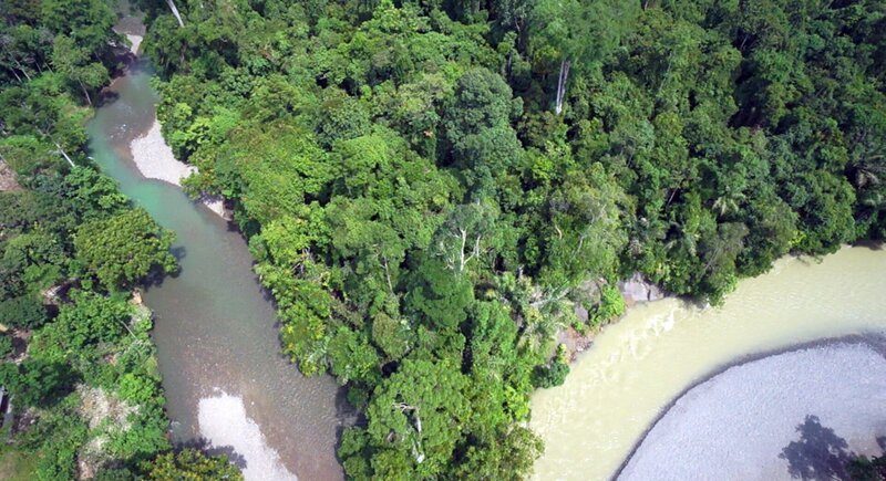 Am Rande des Leuser-Nationalparks, der sich vorwiegend über die indonesische Provinz Aceh (Nordsumatra) erstreckt. Seit einiger Zeit sind Pläne bekannt, dieses letzte Rückzugsgebiet, in dem noch Elefanten, Nashörner, Bären, Tiger und Orang-Utans einen gemeinsamen Lebensraum haben, zu zerstören. Bergbau- und Ölpalmindustrie haben die mächtigere Lobby. – Bild: BR