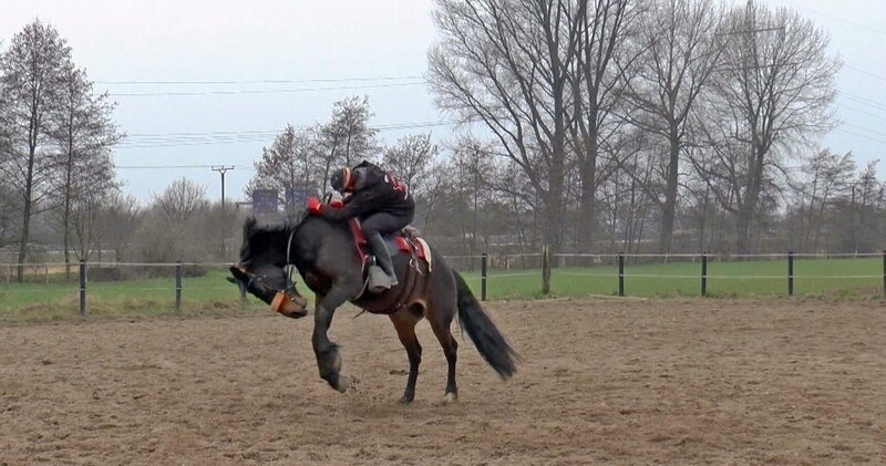 „Shadow“ bockt so heftig, dass Veronika Walch sich kaum halten kann! – Bild: VOX /​ Mina TV