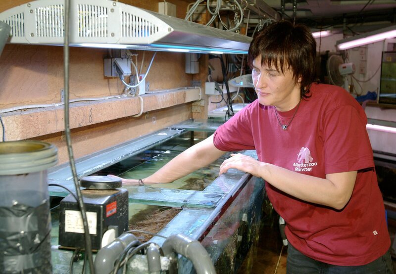 Anke Gassner reinigt die Becken im Aquarium. – Bild: BR/​WDR/​Melanie Grande