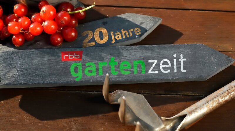 Die rbb Gartenzeit wird 20 Jahre und feiert dies mit einer Sondersendung. Am 1. Mai 2005 strahlte das rbb-Fernsehen zum ersten Mal die rbb Gartenzeit aus. Seitdem berichtete das Magazin in mehr als 450 Sendungen aus den schönsten Privat-Gärten und Parks unserer Region. Anlässlich ihres 20. Jubiläums gibt es in der Sondersendung eine kleine Zeitreise in die Vergangenheit der Gartenzeit. – Bild: rbb