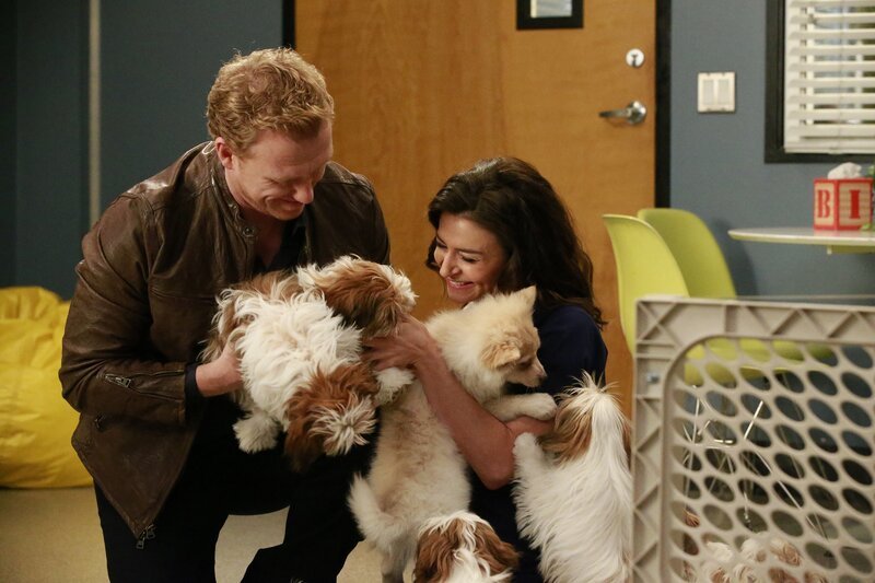 Owen (Kevin McKidd, l.) hat eine ganz besondere Überraschung für Amelia (Caterina Scorsone, r.), während April eine schwierige Entscheidung treffen muss … – Bild: American Broadcasting Companies, Inc.