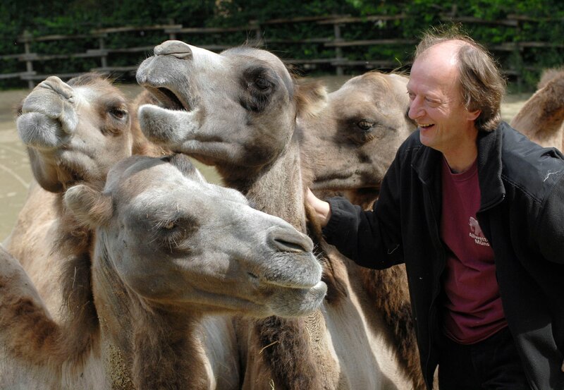 Pfleger Ferdinand Heinemann versorgt die Kamele. – Bild: BR/​WDR/​Melanie Grande