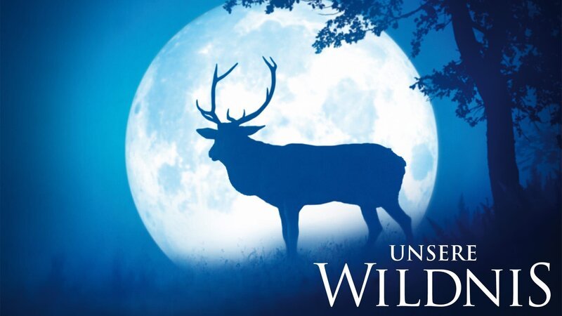 Unsere Wildnis – Artwork – Bild: LEONINE Licensing AG