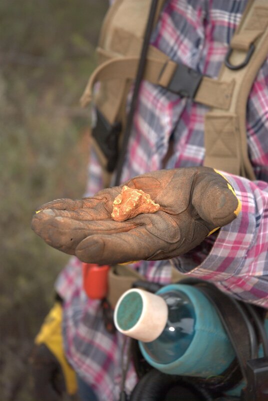 Bild: Electric Pictures Pty Ltd