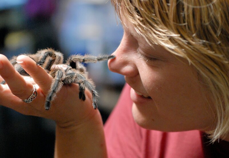 ARD/​WDR PINGUIN, L. WE & CO Geschichten aus dem Zoo Münster, Einblicke hinter die Kulissen des Allwetter-Zoos in Münster; Kristina Theobald mit einem ihrer Schützlinge, einer chilenischen Vogelspinne. – Bild: WDR /​ Melanie Grande