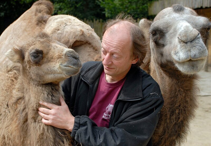 Pfleger Ferdinand Heinemann versorgt die Kamele. – Bild: WDR/​Melanie Grande