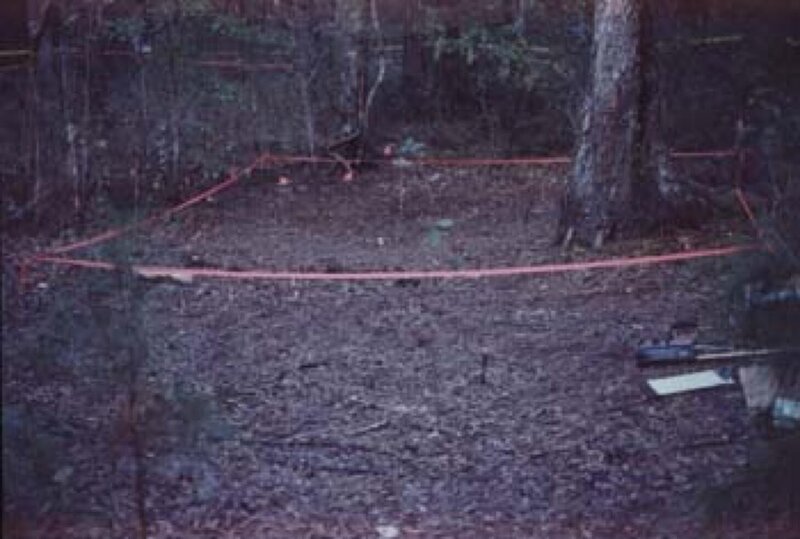 Bild: ProSiebenSat.1 Media SE