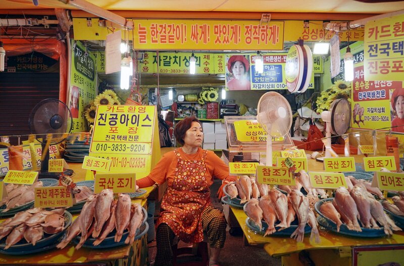 Die Arbeitsmoral der „Damen von Jagalchi“ war entscheidend für den Wiederaufbau von Südkorea. – Bild: Tournez S’il Vous Plaît