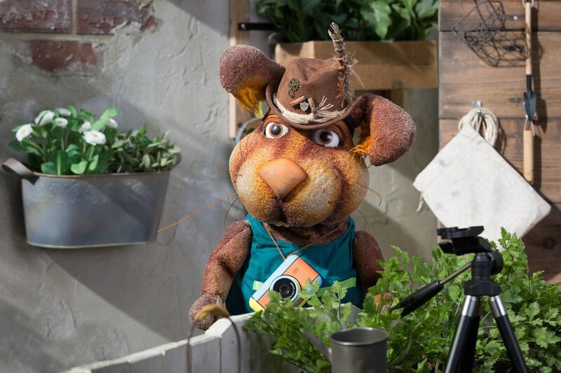 Hase Otto (Franziska Rattay) will unbedingt den seltenen Käfer Ringelfitz aufspüren. – Bild: ZDF/​Zia Ziarno