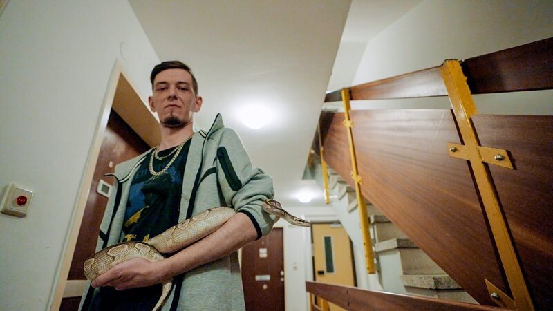 Schlangen- und Vogelspinnensammler Sascha. – Bild: ORF/​Neulandfilm