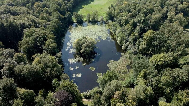 Die Leiche wurde im Klosterwald gefunden – Bild: Kabel Eins Eigenproduktionsbild frei