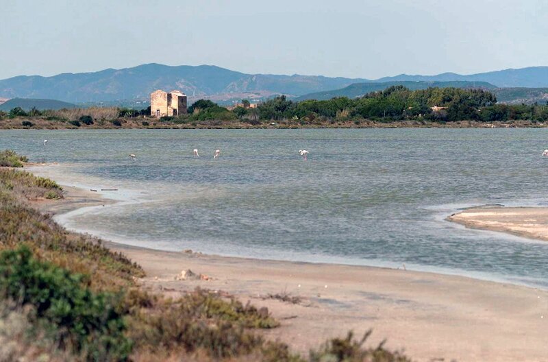 Auf der Insel Sant’Antioco vor der Küste Sardiniens wird bis heute eine der seltensten und wertvollsten Fasern verarbeitet: Muschelseide. Der Prozess ist aufwendig – vom Sammeln der Muscheln am Grund der Lagune bis zum Weben des schimmernden Stoffs. – Bild: Elephant Doc