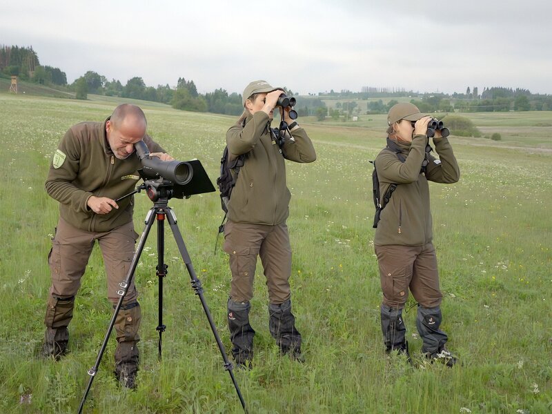 In den Arnika- und Bärwurzwiesen der Teuschnitz-Aue befindet sich das größte Brutgebiet des Braunkehlchens in Oberfranken. Die Ranger und Rangerinnen des Naturparks Frankenwald versuchen mit großem Einsatz dem in Bayern vom Aussterben bedrohten Vogel wieder auf die Beine zu helfen. Die RangerInnen von links: Jan van der Sant, Ines Gareis und Christiane Veit. – Bild: Nikolai Ritzkowsky /​ BR