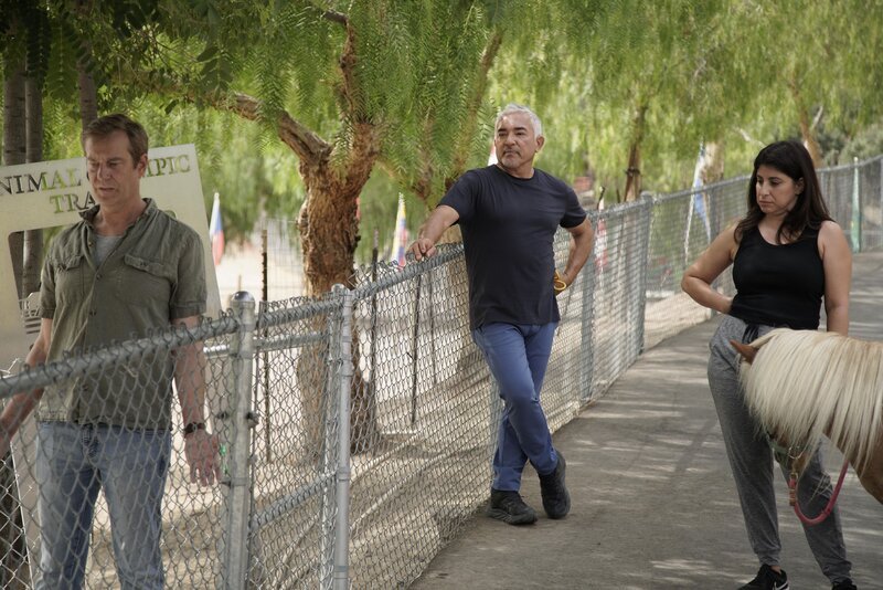 Bild: NGC NETWORK US, LLC