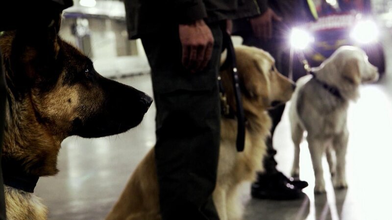 Border Patrol – Bild: RTL /​ OMAVA LLC