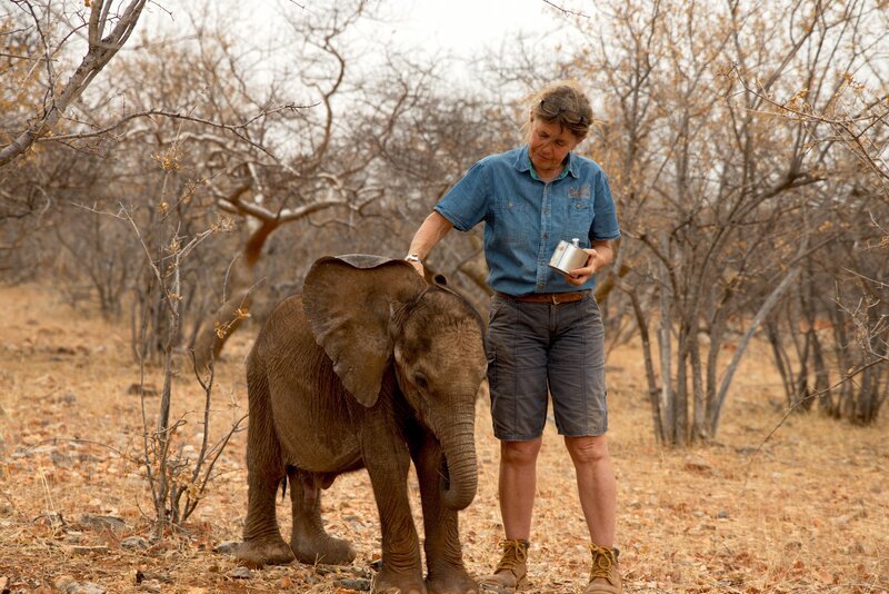NAMIBIA- Dr Simone Herzog taking care of Kohadi Hamiros, a young Desert Elephant who lost its family. – Bild: RTL