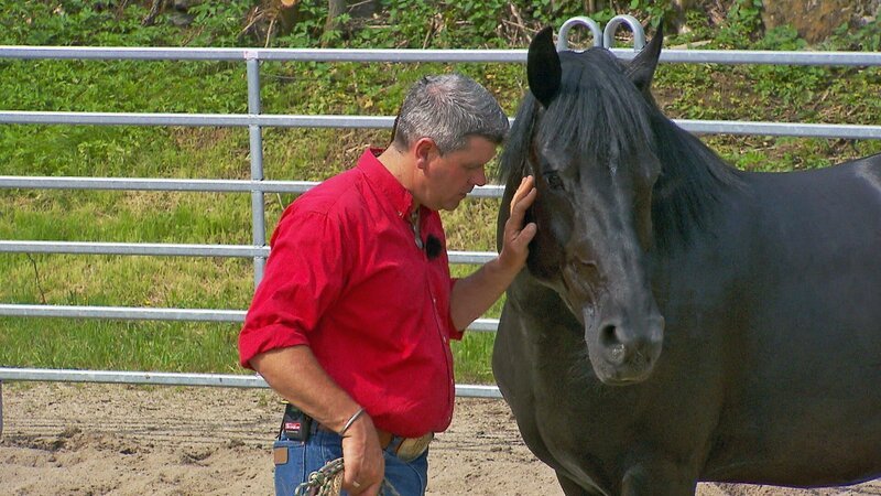 Bernd Hackl und „Babsi“ im Round Pen – Bild: MG RTL D /​ Mina TV