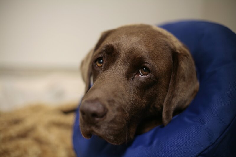 Jeff – Bild: Blast! Films 2021 Lizenzbild frei