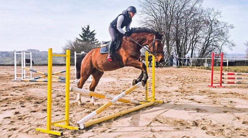 Auf dem Reiterhof in Börnichen gibt es Springreiten, Dressur und Westernreiten – Bild: MDR/​Mathias Schaefer