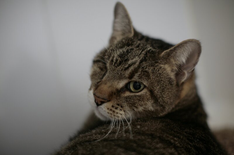 Driver – Bild: Blast! Films 202 Lizenzbild frei