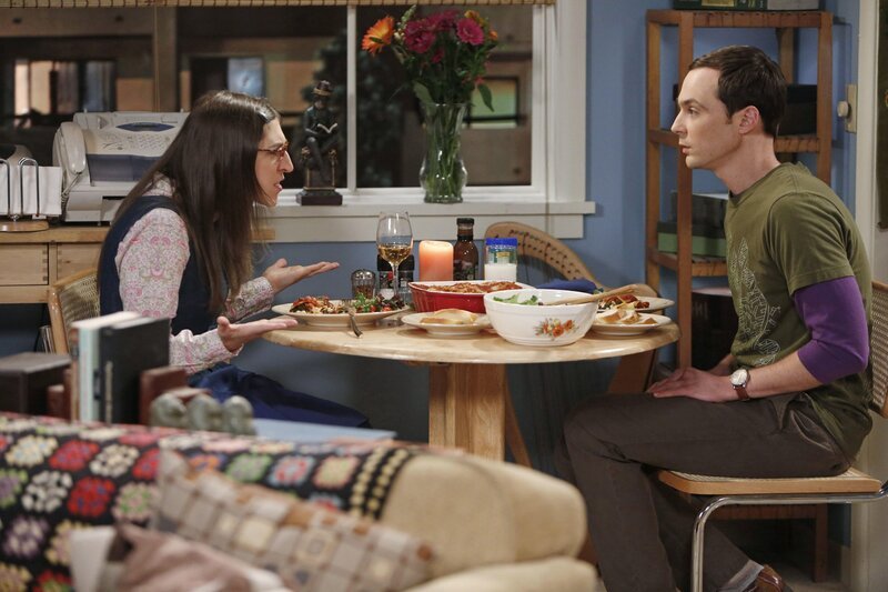 Geraten in einen handfesten Streit: Sheldon (Jim Parsons, r.) und Amy (Mayim Bialik, l.) … – Bild: © Warner Brothers