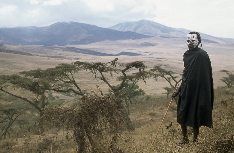 Giraffen im Ngorongoro Krater. – Bild: Max Schecker