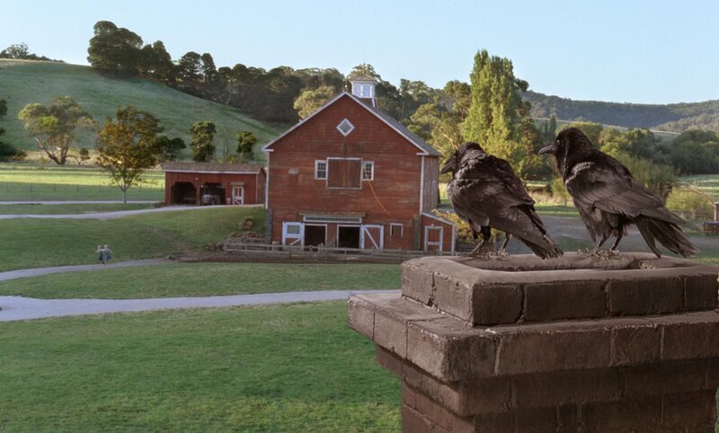 Brooks und Elwyn, die beiden Krähen, sitzen oft zusammen und philosophieren über sich und den Rest der Welt. – Bild: CBS International Television (ehem: Paramount Pictures International)