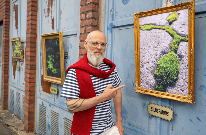 Moose sind klein und manchmal unscheinbar, wachsen aber praktisch überall. Ihre Bedeutung in der Pflanzenwelt ist enorm: Moose nehmen Nährstoffe und Flüssigkeit über ihre Oberflächen auf und gelten als hervorragende Wasserspeicher. Bei Trockenheit geben sie die Feuchtigkeit sogar wieder an die Luft ab. Was Moose sonst noch können und warum sie für unsere Umwelt so immens wichtig sind, weiß Thomas D – in „Wissen vor acht – Natur“. – Bild: ARD/​Bavaria Entertainment/​Melanie Grande