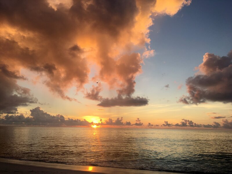 Sonnenuntergang auf Praslin. – Bild: ORF III