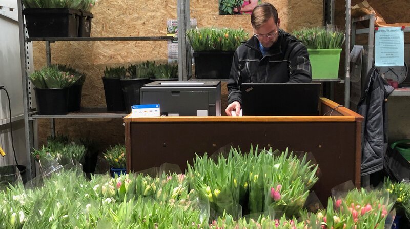 Jörg Puttfarcken, Tulpenzüchter aus Vierlanden und Großmarkt-Verkäufer. – Bild: NDR/​Stennerfilm