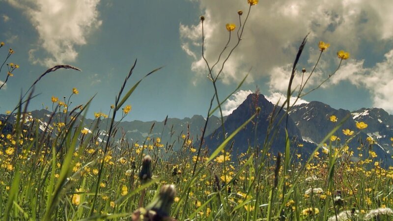 Landschaftsaufnahme in der malerischen Region Kaiserwinkl in Tirol. – Bild: B.O.A. Videofilmkunst /​ BR