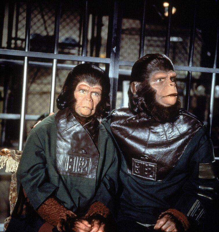 Die fremdartigen Affenwesen Cornelius (Roddy McDowall, r.) und Zira (Kim Hunter, l.) sind zunächst eine Sensation und werden von den Erdenbewohnern herzlich aufgenommen. Das ändert sich schlagartig, als bekannt wird, dass Zira Nachwuchs erwartet. Regierung und Wissenschaft sehen den Fortbestand der Menschheit bedroht … – Bild: 20th Century Fox