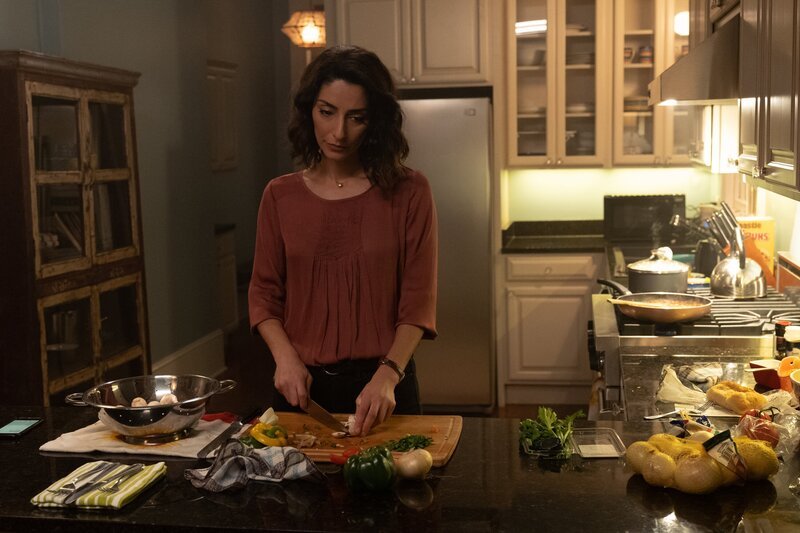 Special Agent Hannah Khoury (Necar Zadegan) – Bild: CBS Broadcasting, Inc.