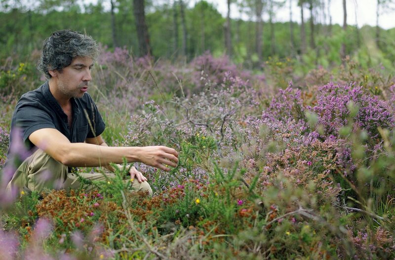 Yves-Marie Le Guen betreut ein ehrgeiziges Programm zur Renaturierung von 200 Hektar bretonischer Heidelandschaft. Durch selektive Rodungen wird wieder Platz für Torfmoore geschaffen. – Bild: Haut et Court Doc