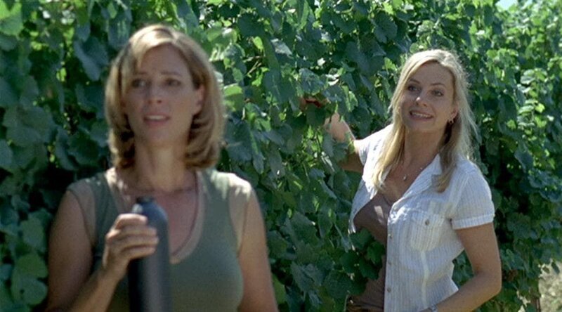 „Der Winzerkönig“, „Gute Zusammenarbeit.“ Thomas und Jakob Ressler bekommen heraus, dass sich Bürgermeister Georg Plattner am Wellnessprojekt rund um Schloss Bergham persönlich bereichern wollte. Thomas rät daraufhin Schlossbesitzer Andreas Koblenz sein Anwesen nicht der Stadtgemeinde Rust zu verkaufen. Das erfährt Georg in der Rehaklinik. Als er auch noch erfahren muss, dass Paul und Thomas in seinem Weingut aushelfen, plant er sein baldiges Comeback. Privat gerät Thomas zunehmend unter Druck, denn nach ihrer Scheidung bietet Thomas Johanna an, noch im Gasthaus Stickler zu bleiben. Claudia reagiert eifersüchtig, da sie gehofft hat endlich mit Thomas alleine zu sein.Im Bild (v.li.): Carin C. Tietze (Johanna Stickler), Susanne Michel (Claudia Plattner). – Bild: ORF/​Dor-Film