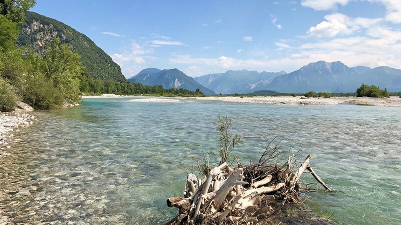 Der Tagliamento

Verwendung nur in Verbindung mit der Programmkommunikation. Jede andere Nutzung ist untersagt. – Bild: GS-Film