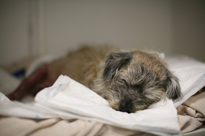 Bild: Blast! Films 2021 Lizenzbild frei