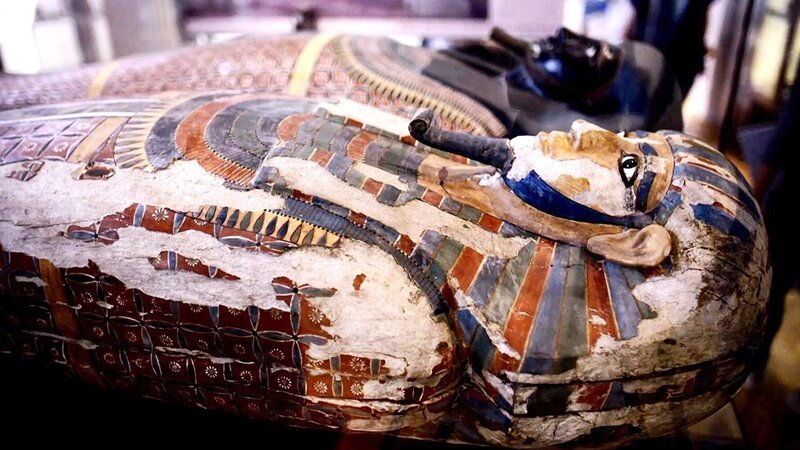 Bild: PLURIMEDIA (Wag TV)