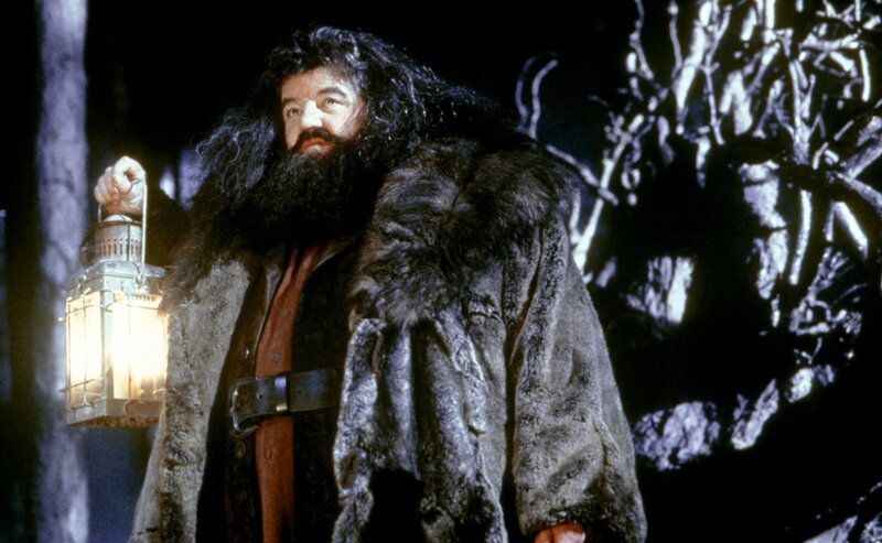 Rubeus Hagrid (Robbie Coltrane) ist der Wildhüter von Hogwarts. Der Halbriese hat Harry in sein Herz geschlossen und wirft in Hogwarts ein Auge auf ihn. – Bild: ORF