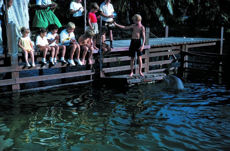 Bild: Disney, Pixar, Lucasfilm LTD, Marvel