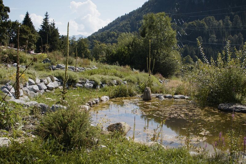 Hinter den Hecken Staffel 4 Folge 7 Permakulturgarten in Brienz (BE) 2021 – Bild: SRF