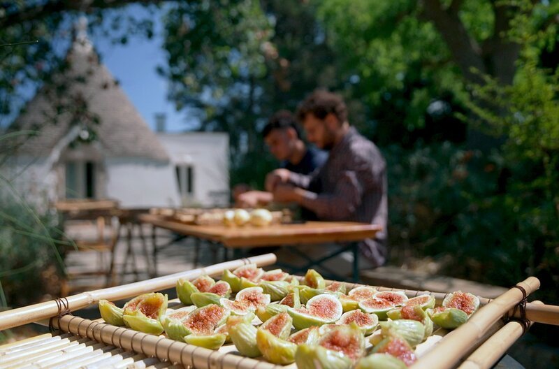 Im Frühherbst werden im Garten „Giardini di Pomona“ Feigensorten aus aller Welt  getrocknet und verarbeitet. – Bild: Reiner Bauer /​ Im Frühherbst werden im Garten ?Giardini di Pomona? Feigensorten aus aller Welt  getrocknet und verarbeitet.