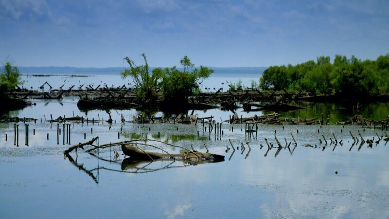 Chesham Bay – Bild: RTL