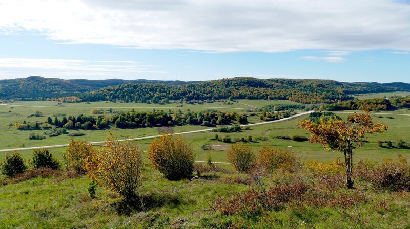 Landschaft beim Truppenübungsplatz Hohenfels. Weiteres Bildmaterial finden Sie unter www.br-foto.de. – Bild: BR/​Markus Schmidbauer