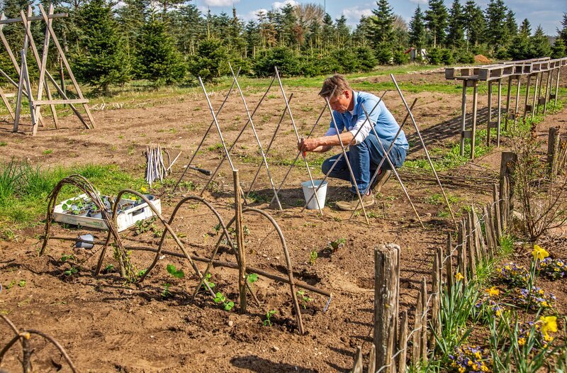 Peter besucht den Botanischen Garten in Rostock, beantwortet Zuschauer*innen-Anfragen und erneuert sein altes Hochbeet. – Bild: NDR